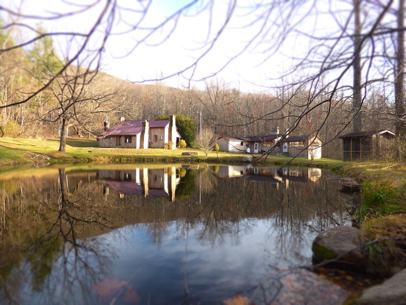 Birch's Library reflected in the pond, among the trees